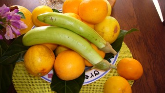 オレンジのようなレモン　我が家の庭グリーンナス.jpg